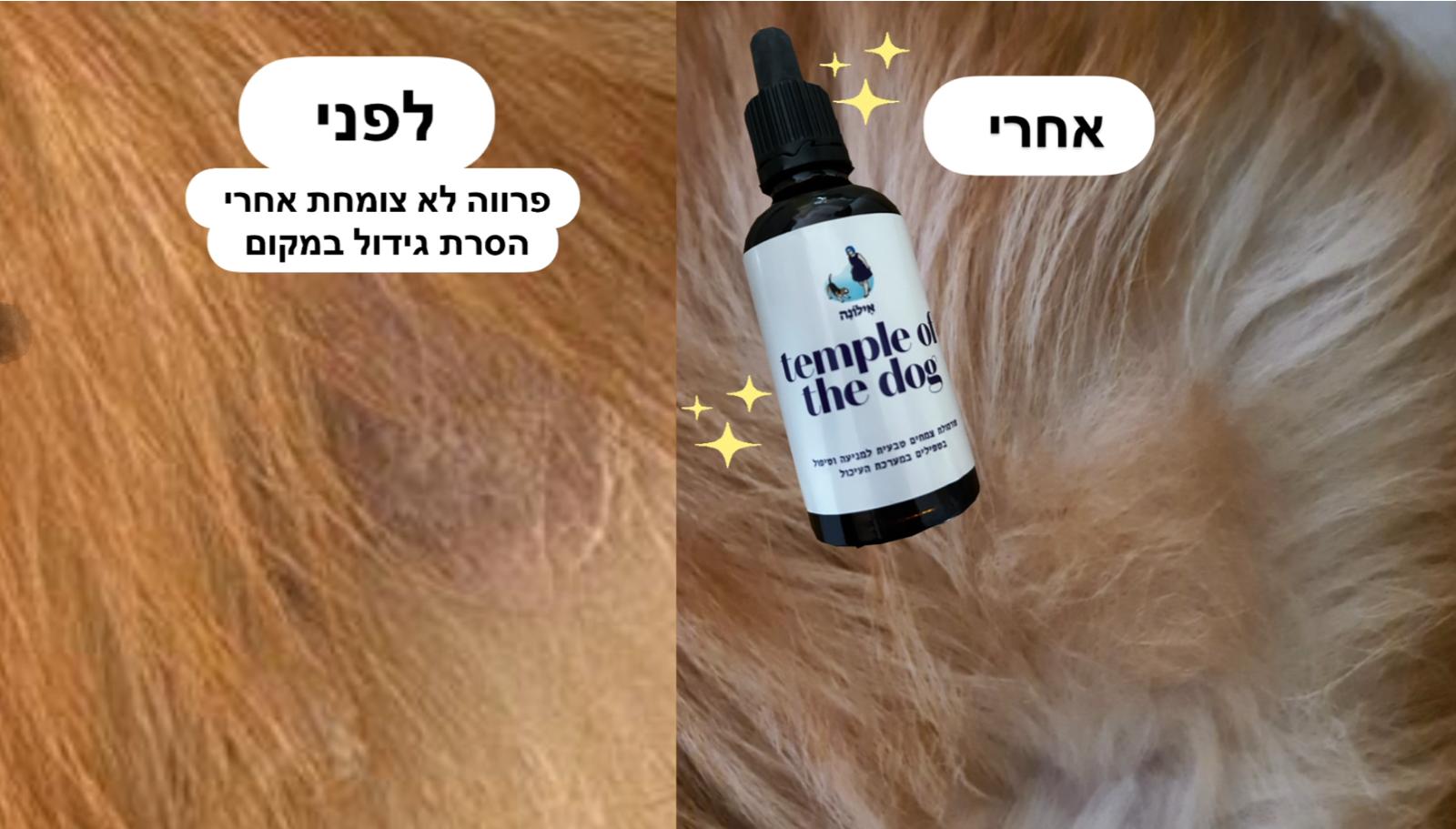Temple of the Dog חיזוק טבעי